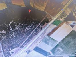 SE VENDE PINAR PINEA EN TORDESILLAS photo 0