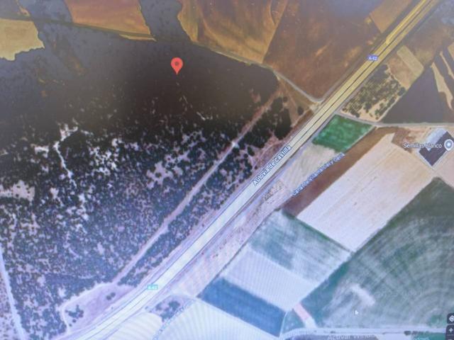 SE VENDE PINAR PINEA EN TORDESILLAS photo 0