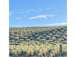 Finca rustica en venta en Lucena photo 0