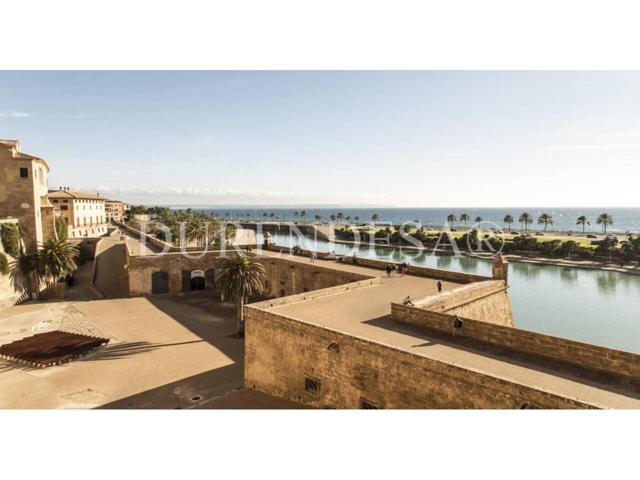 Planta baja con encanto histórico y reforma integral en La Calatrava photo 0