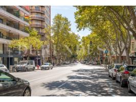 Vivienda luminosa en el corazón de Palma, junto a Blanquerna photo 0
