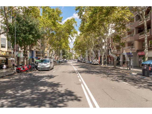 Vivienda luminosa en el corazón de Palma, junto a Blanquerna photo 0