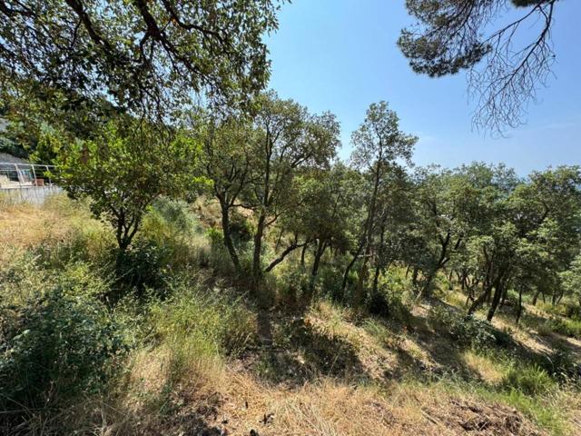 Terreno en venta en Santa Cristina d'Aro photo 0