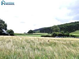 REF 004053 - TERRENO RÚSTICO URBANIZABLE EN GÜEMES photo 0