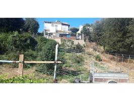TERRENY A SENTMENAT photo 0