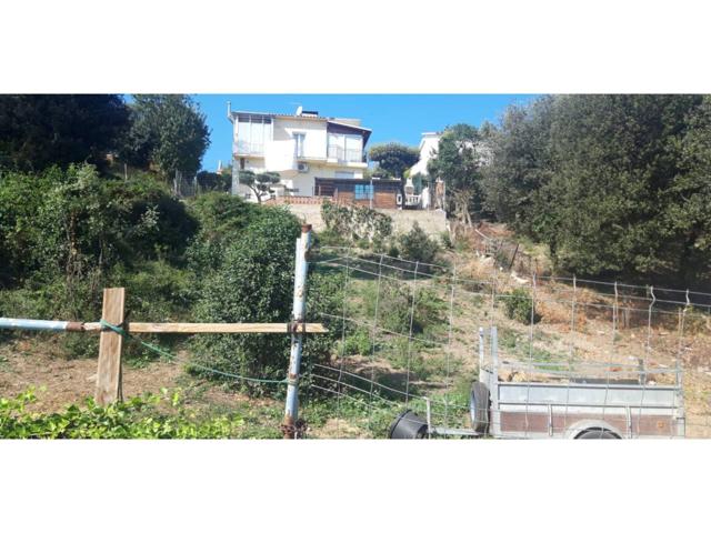 TERRENY A SENTMENAT photo 0