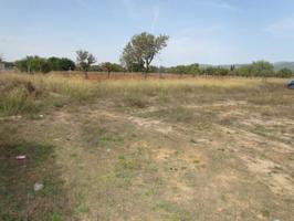 TERRENO EN BINISSALEM photo 0