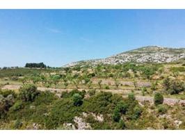 SUELO RUSTICO VENTA SANT MATEU photo 0