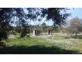 Finca rustica en venta en Sant Mateu photo 0