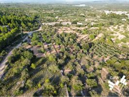 FINCA EN SANT JORDI photo 0