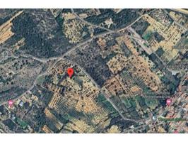 SE VENDE TERRENO RUSTICO EN SAN JORDI (CASTELLÓN) photo 0