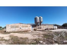 ¡Gran Oportunidad! Se Venden 3 Granjas con Excelentes Condiciones photo 0