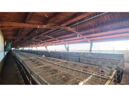 ¡Gran Oportunidad! Se Venden 3 Granjas con Excelentes Condiciones photo 0