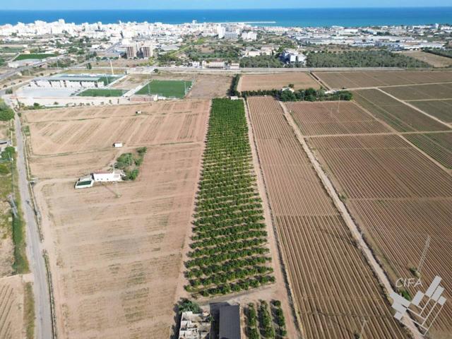 ¡Oportunidad Única! Parcela Rústica en Venta en Plena Producción de Naranjos photo 0