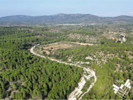 Finca rustica en venta en Sant Mateu photo 0