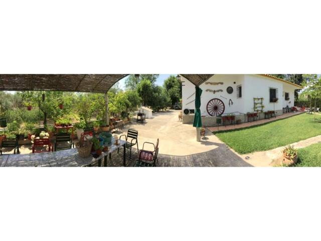 6.550 m2 de Terreno + Chalet con Piscina photo 0