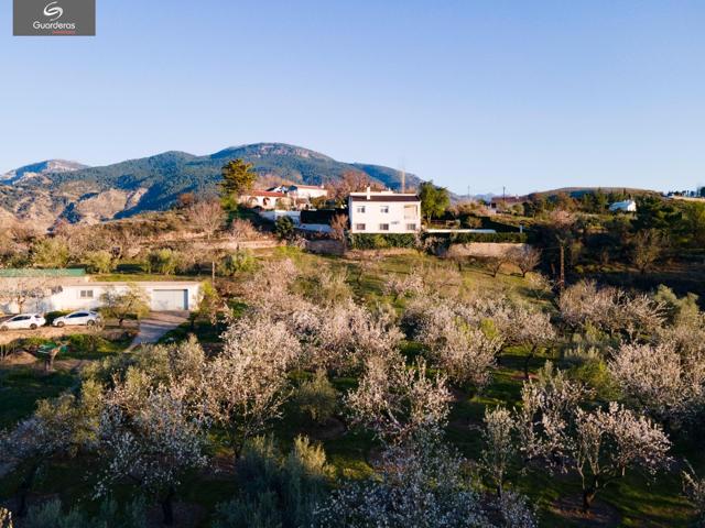 CORTIJO EN MONACHIL EN UNA PLANTA photo 0