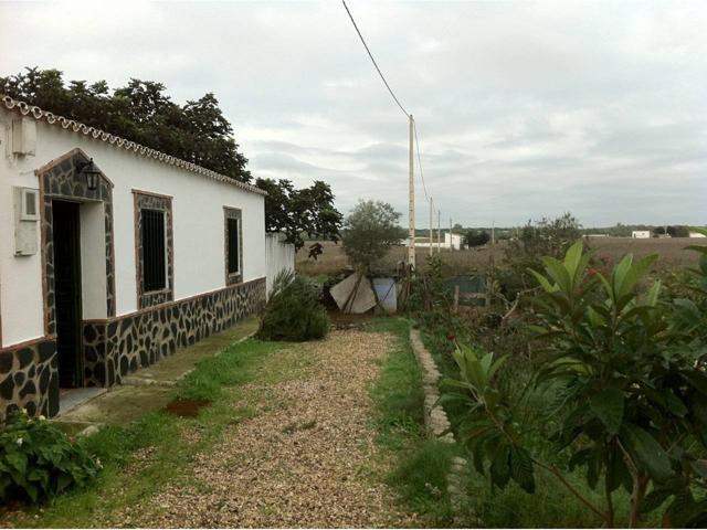 Finca con 3 casas y 1 ático en venta photo 0