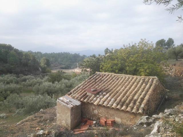 BENIFALLET  FINCA EN VENTA DE OLIVOS Y MASÍA photo 0