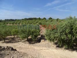 Finca con agua en venta en El Pinell de Brai photo 0