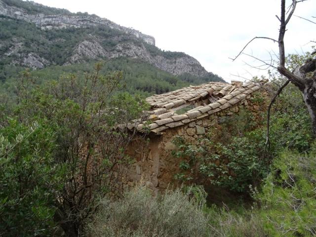 Finca rustica en venta en Benifallet con pozo propio y masía photo 0