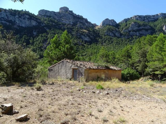 Finca con agua de fuente en venta en Paüls photo 0