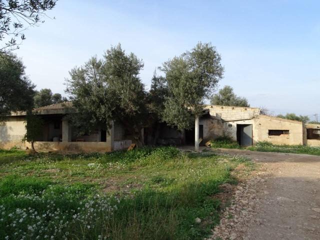 Finca rustica en venta con agua en Jesús - Tortosa photo 0