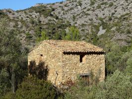 BENIFALLET  FINCA EN VENTA Y MASÍA DE 2 PLANTAS photo 0