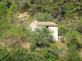 Finca rustica en venta en Paüls photo 0