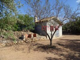 Finca rústica con agua y caseta en venta en Aldover photo 0