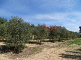 Finca rustica en venta en Tortosa photo 0