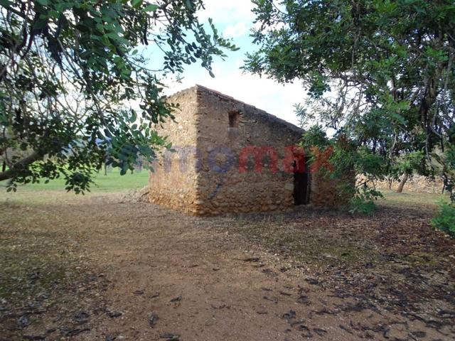 Finca rustica en venta en Roquetes photo 0