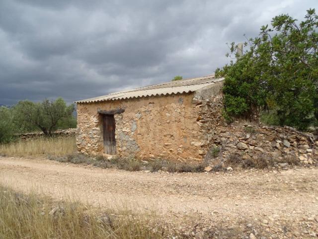 Finca rustica en venta en Bítem photo 0