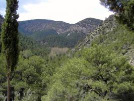 Parcela en venta en El Toro photo 0