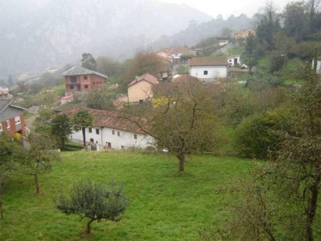 Finca edificable en venta PUERTO, CACES, LAS CALDAS photo 0