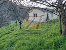 Venta de casa con finca de manzanos en Gijón photo 0