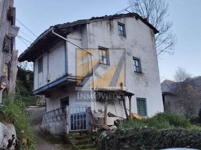 OPORTUNIDAD CASA PARA REFORMAR CON FINCA EN CALEO CAMPO CASO photo 0