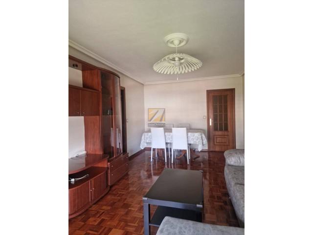 ALQUILER OVIEDO photo 0