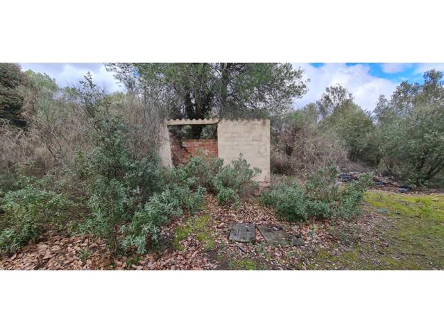 Finca rústica con pozo. photo 0