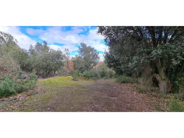 Finca rústica no edificable con pozo. photo 0