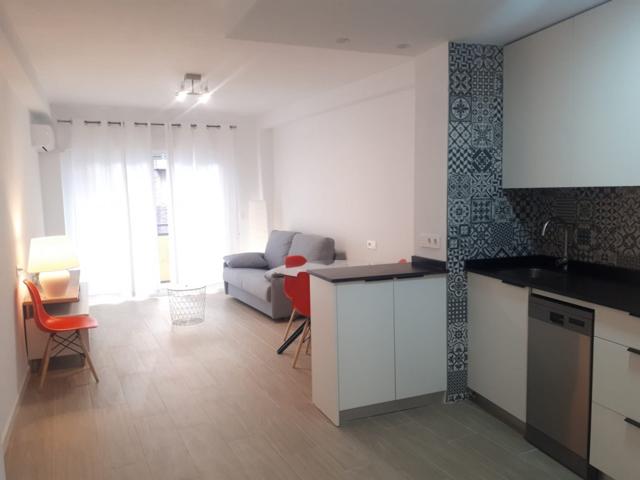 PRECIOSO APARTAMENTO REFORMADO DE UN DORMITORIO EN ALEJANDRO SEIQUER photo 0