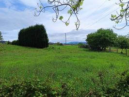 Terreno Urbanizable En venta en Quintana, Nava photo 0