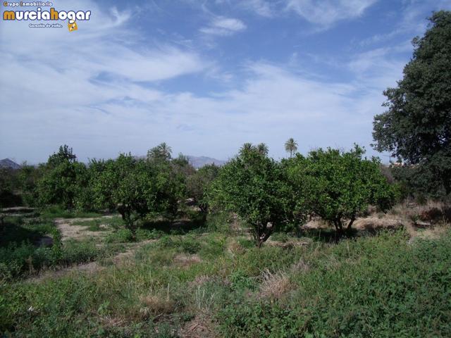 Terreno de huerta en Torreagüera. photo 0