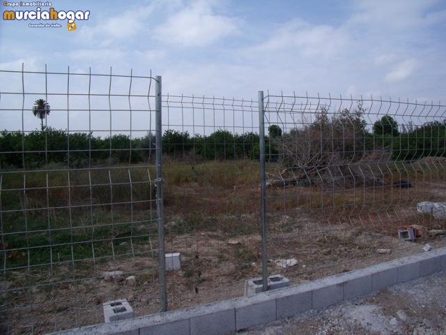 TIERRA DE HUERTA EN TORREAGUERA photo 0
