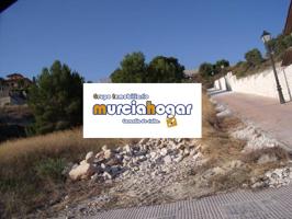 SOLAR URBANO EN LA ALCAYNA. photo 0