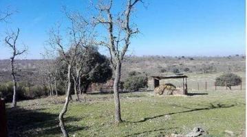 Urbis te ofrece un terreno en venta en Herguijuela de Ciudad Rodrigo, Salamanca. photo 0