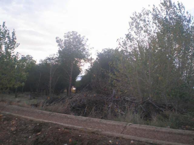 Urbis te ofrece terreno rústico en venta en Nuevo Naharros, Pelabravo, Salamanca. photo 0