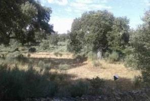 Urbis te ofrece una parcela rústica en venta en Castillejo de Dos Casas, Aldea del Obispo,Salamanca. photo 0