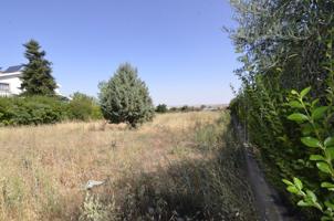 Urbis te ofrece un terreno Urbano en venta en Carrascal de Barregas zona URB. PEÑASOLANA, Salamanca. photo 0