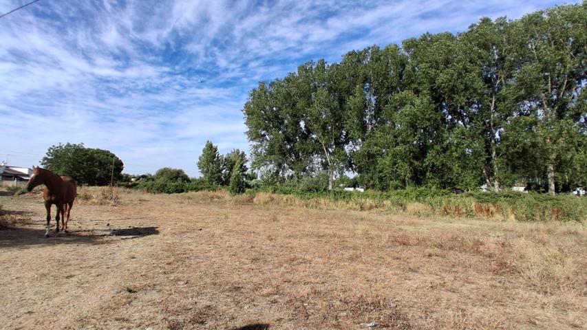 Urbis te ofrece una amplia parcela en zona Las Viñas, Santa Marta de Tormes, Salamanca. photo 0